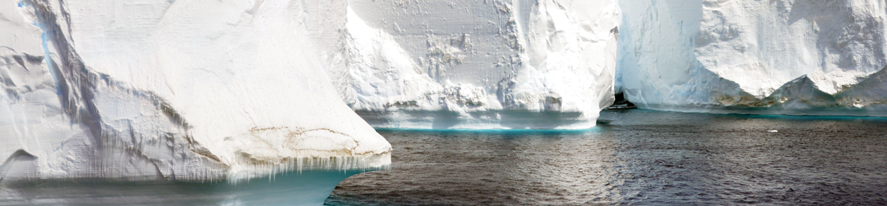 Antartica Icebergs